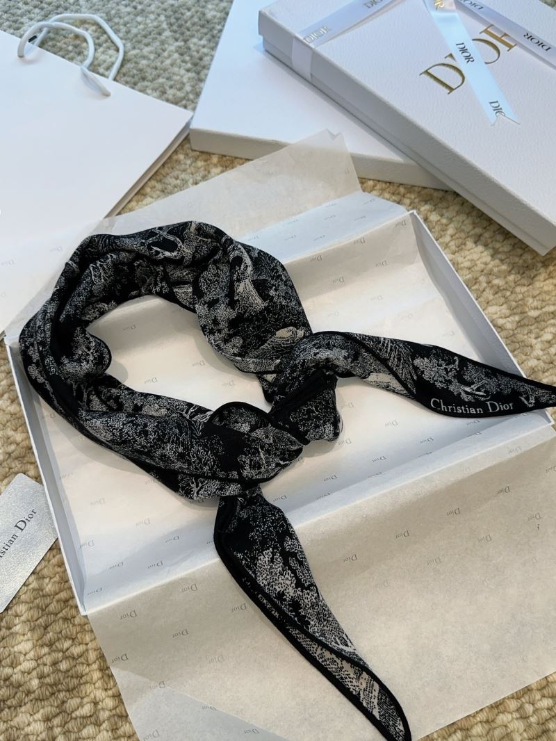 Christian Dior Scarf